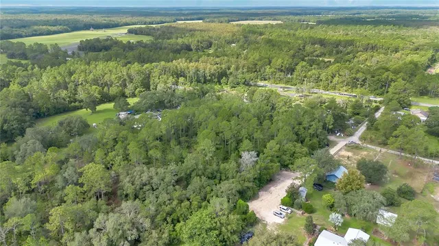 a view of a forest with a houses