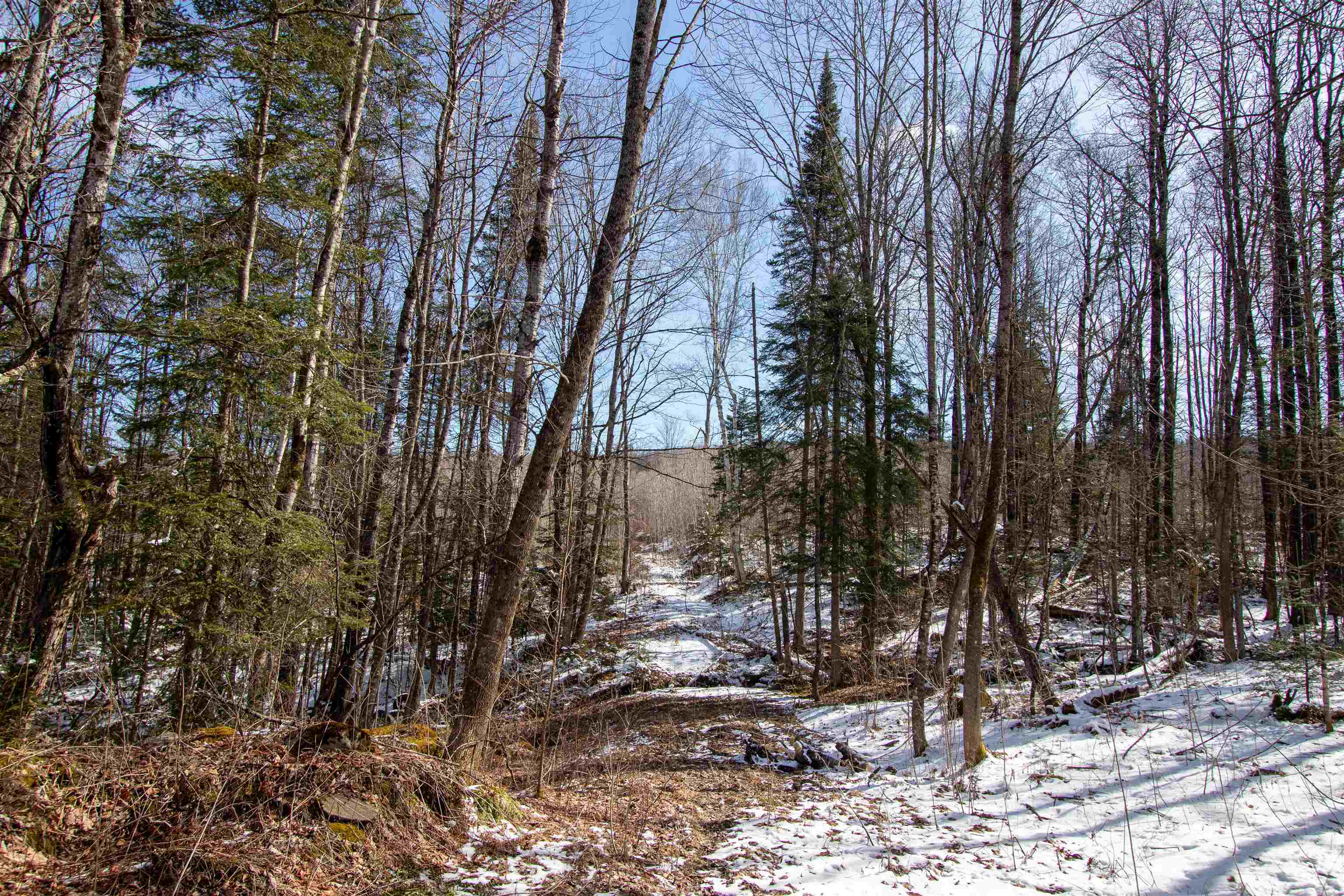 0 Long Hill Road Concord, VT 05824 - Photo 15 of 26