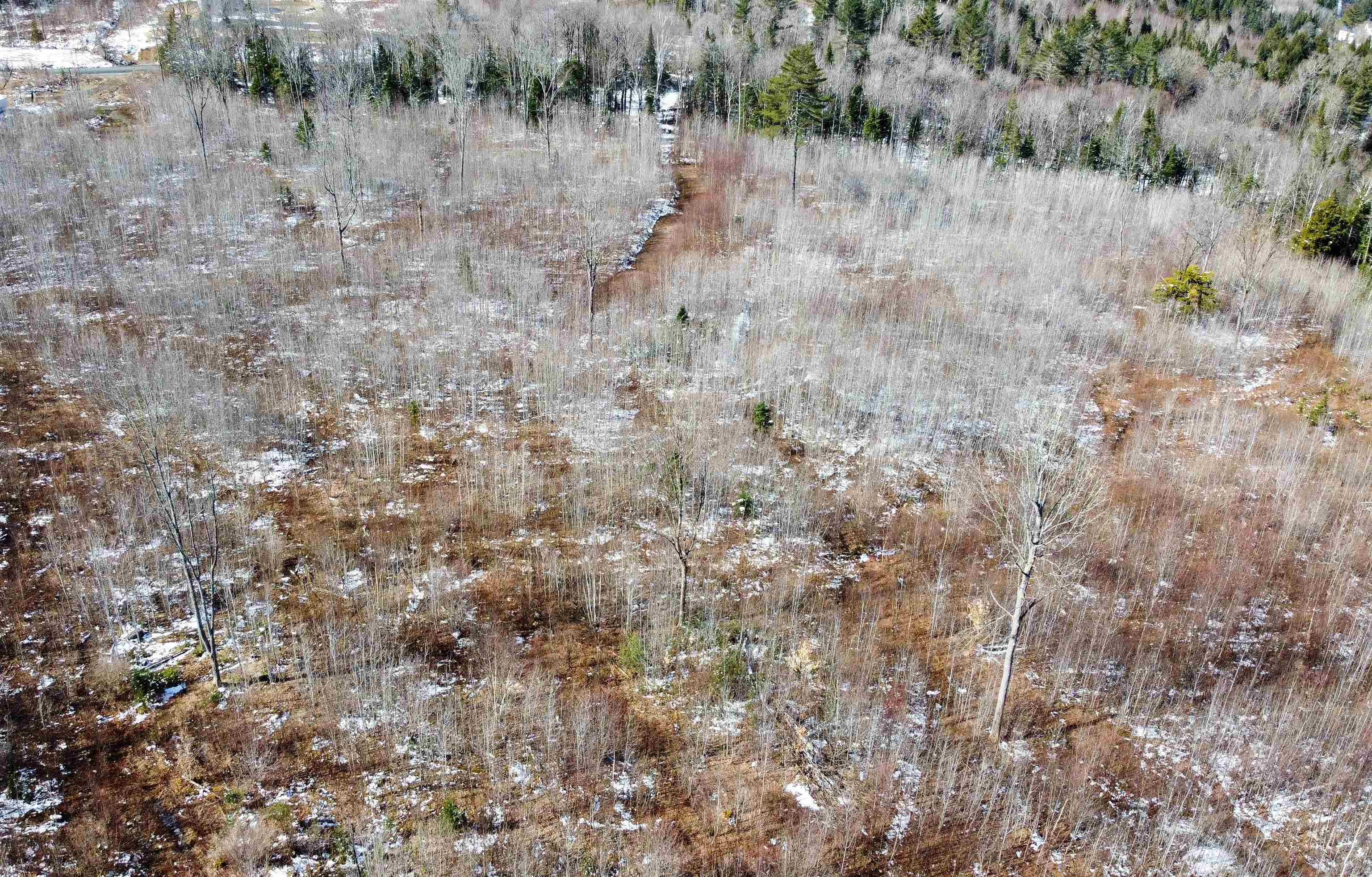 0 Long Hill Road Concord, VT 05824 - Photo 26 of 26