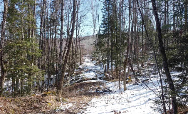 $200,000 | 0 Long Hill Road, Concord, VT 05824
