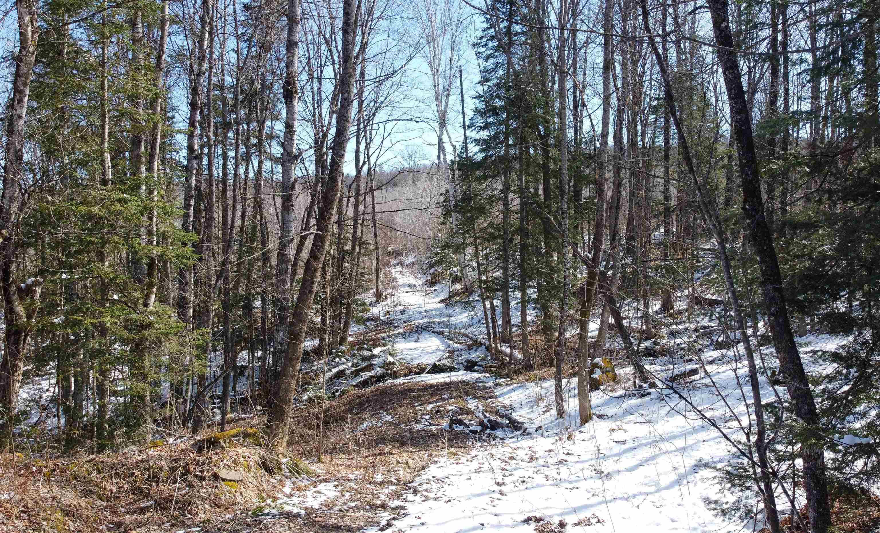 0 Long Hill Road Concord, VT 05824 - Photo 3 of 26