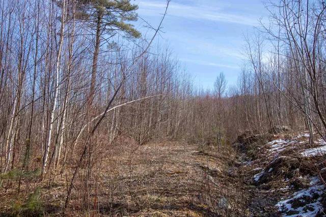 $200,000 | 0 Long Hill Road, Concord, VT 05824