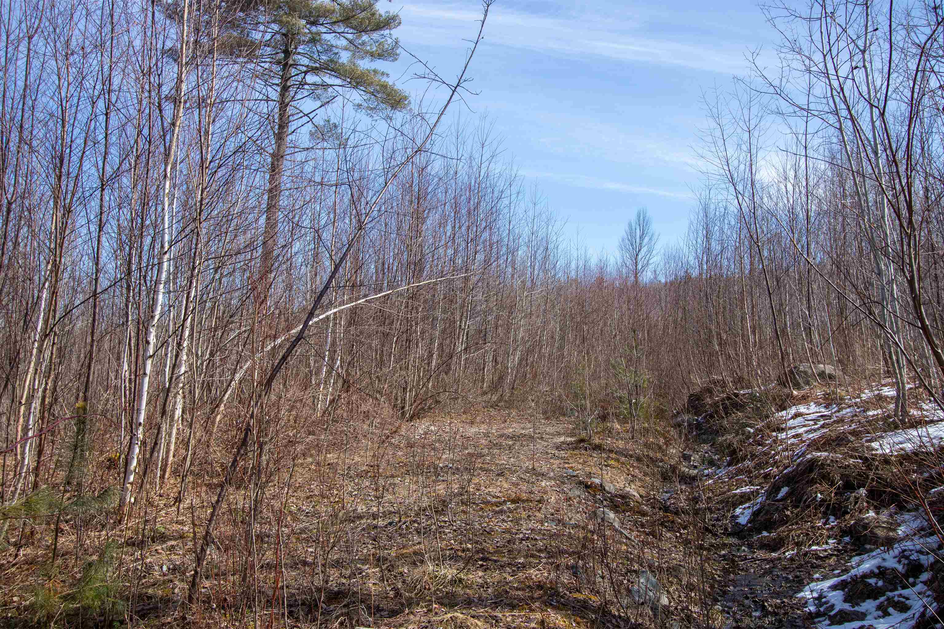 0 Long Hill Road Concord, VT 05824 - Photo 4 of 26