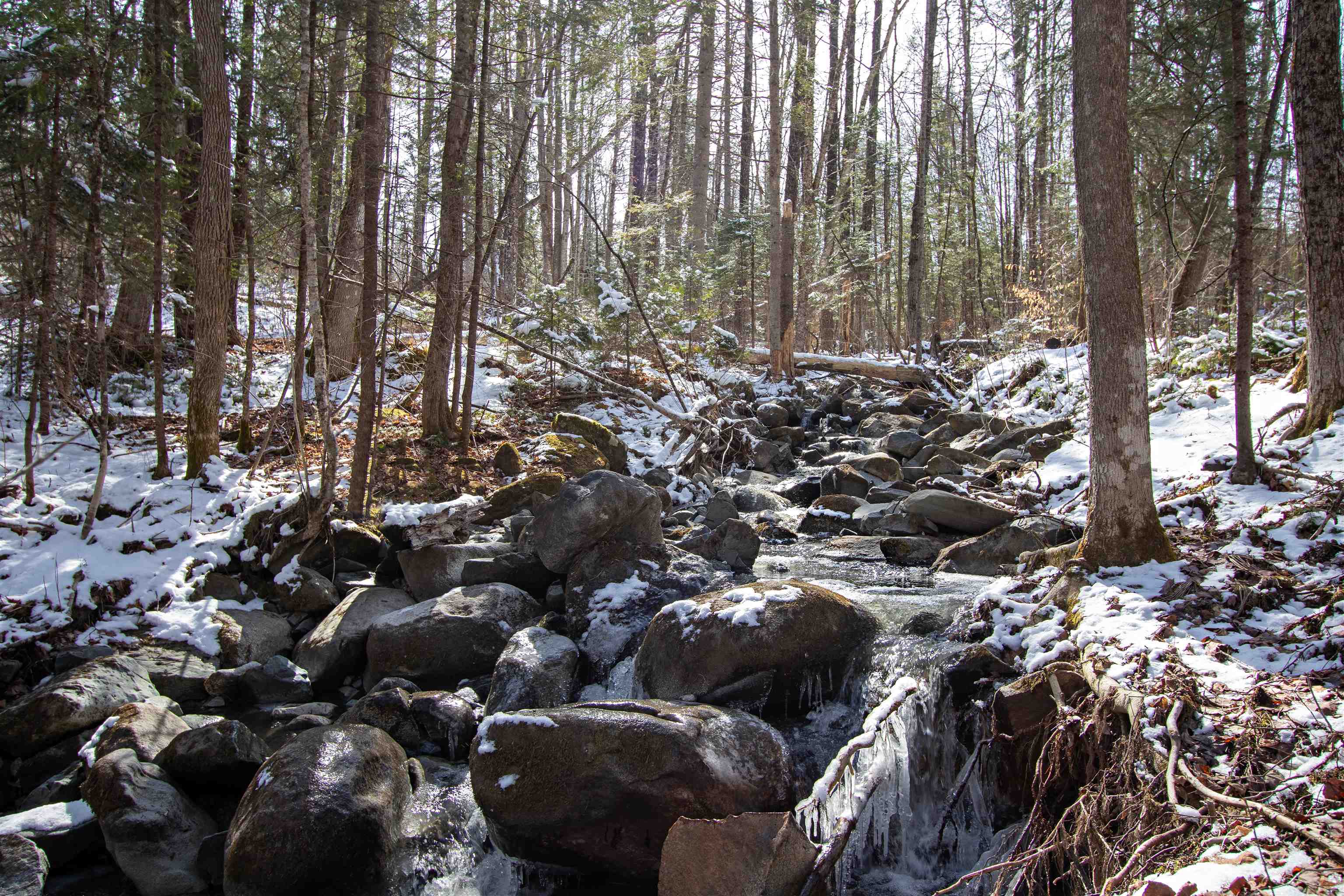 0 Long Hill Road Concord, VT 05824 - Photo 5 of 26