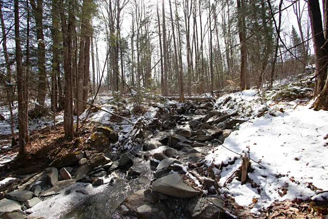 $200,000 | 0 Long Hill Road, Concord, VT 05824