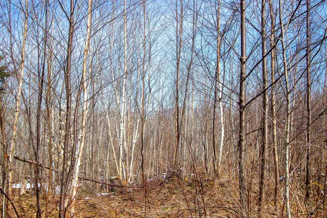 $200,000 | 0 Long Hill Road, Concord, VT 05824