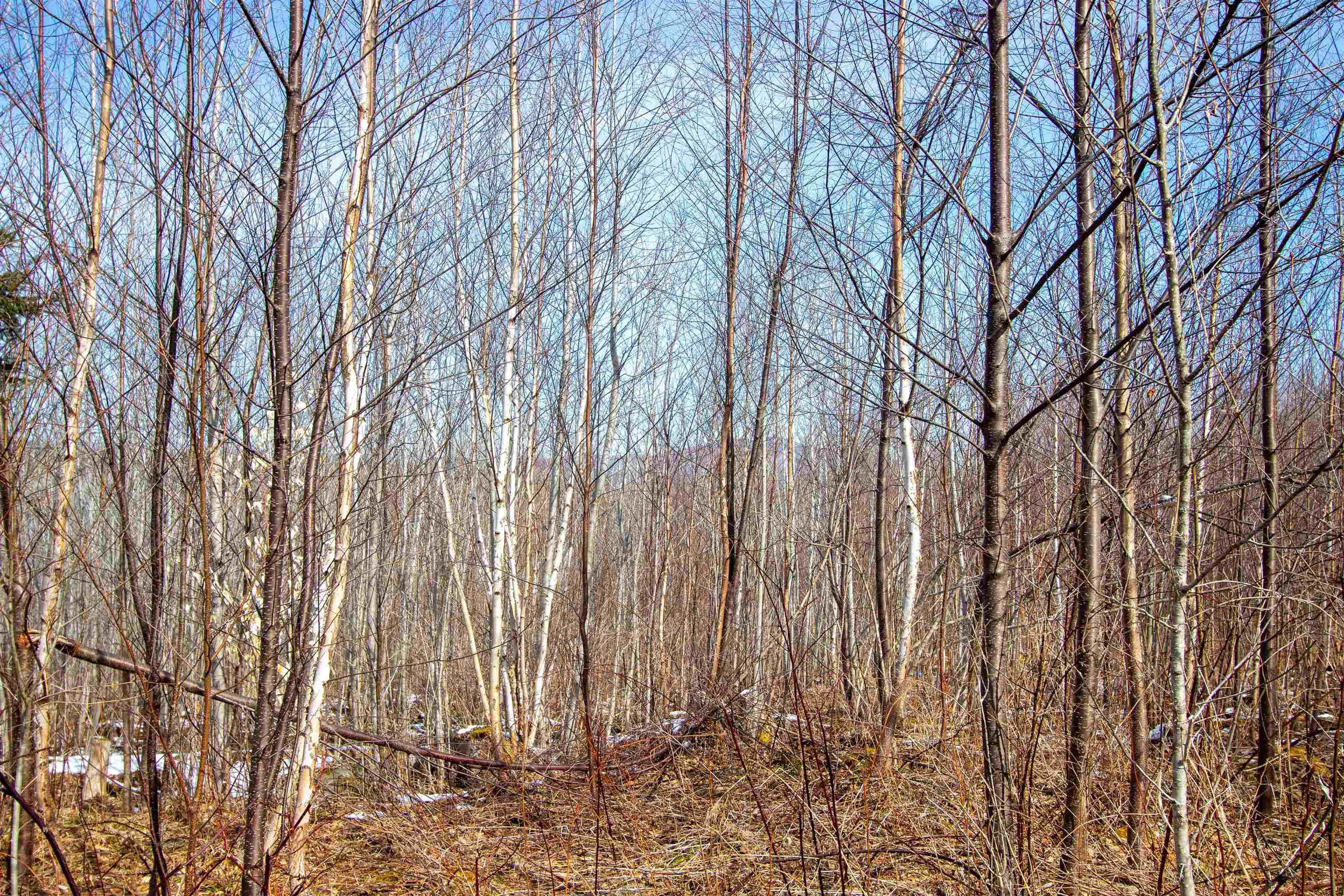 0 Long Hill Road Concord, VT 05824 - Photo 8 of 26