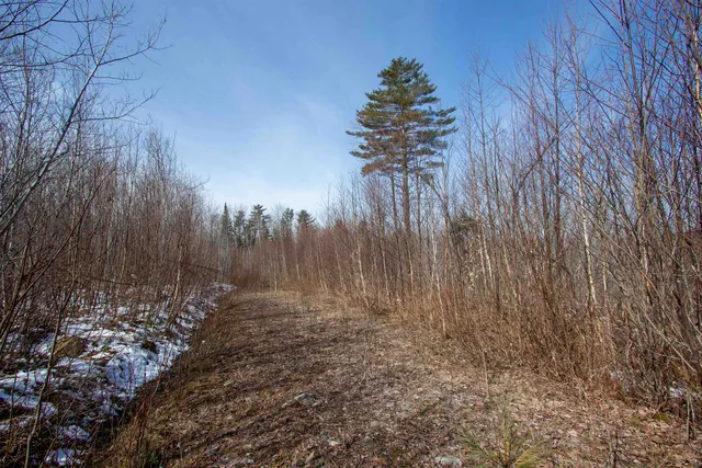 $200,000 | 0 Long Hill Road, Concord, VT 05824