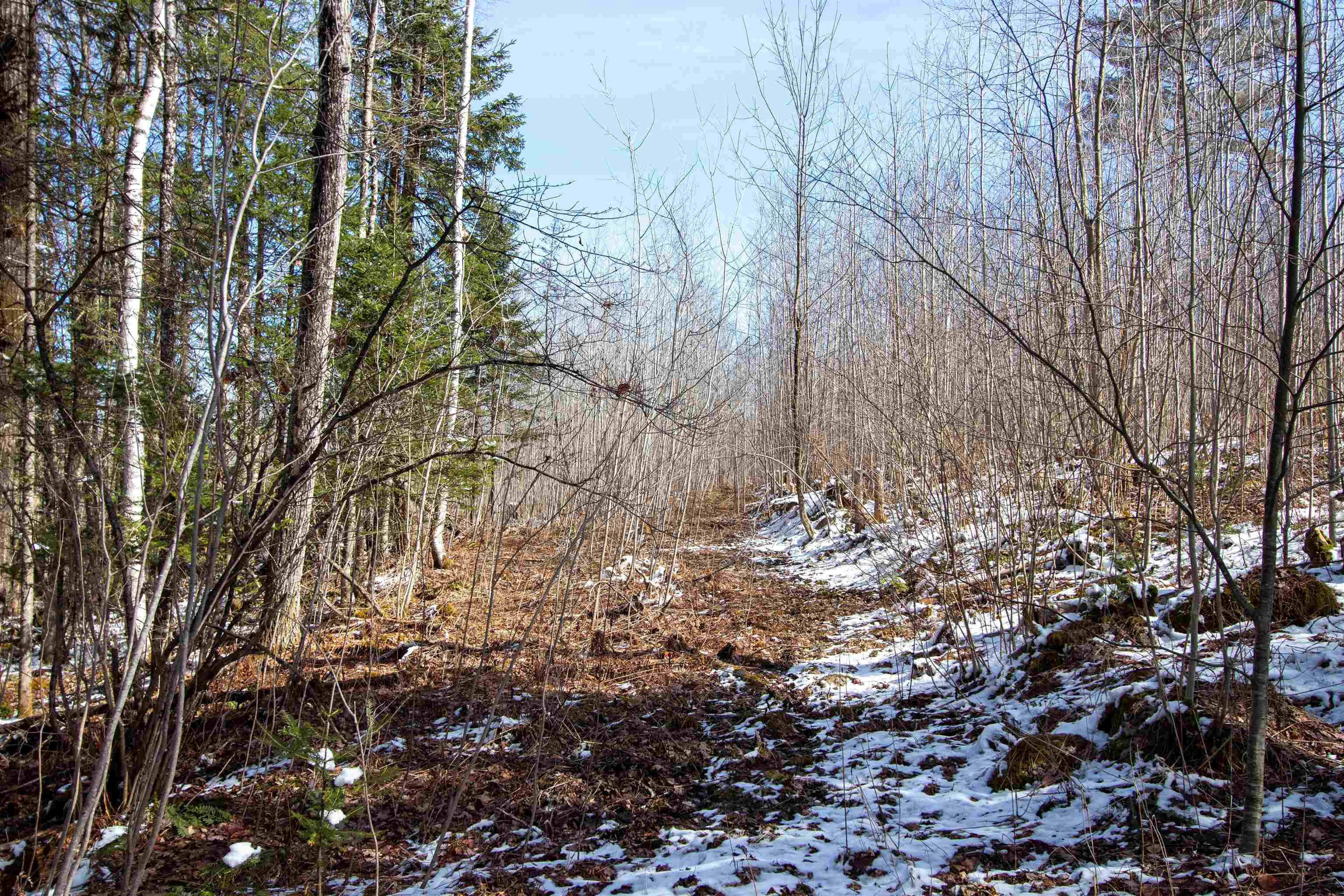 0 Long Hill Road Concord, VT 05824 - Photo 10 of 26