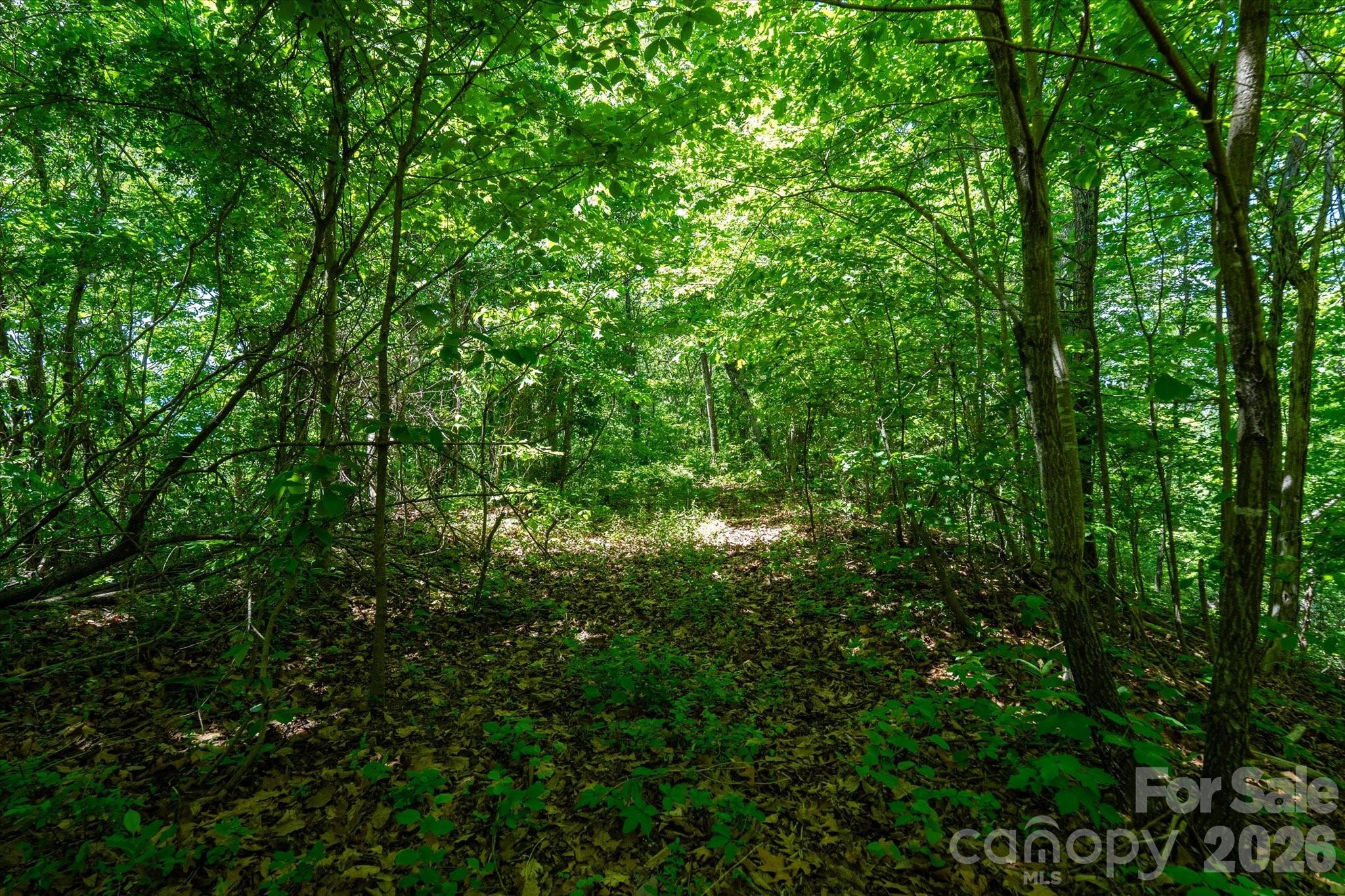 99999 Winding Ridge Road Fairview, NC 28730 - Photo 15 of 15