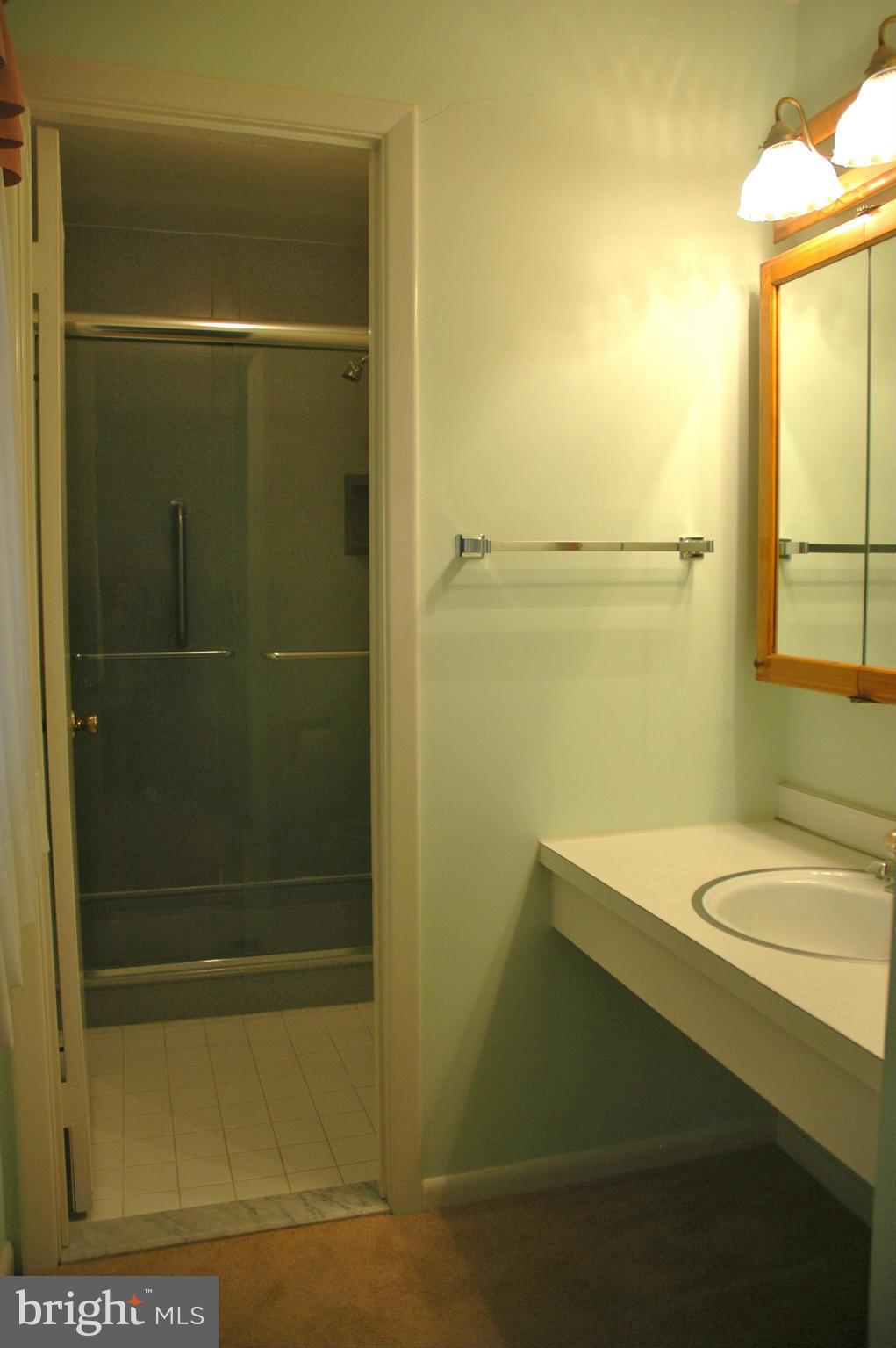 14717 Flintstone Lane Silver Spring, MD 20905 - Photo 15 of 26 a bathroom with a shower and a sink