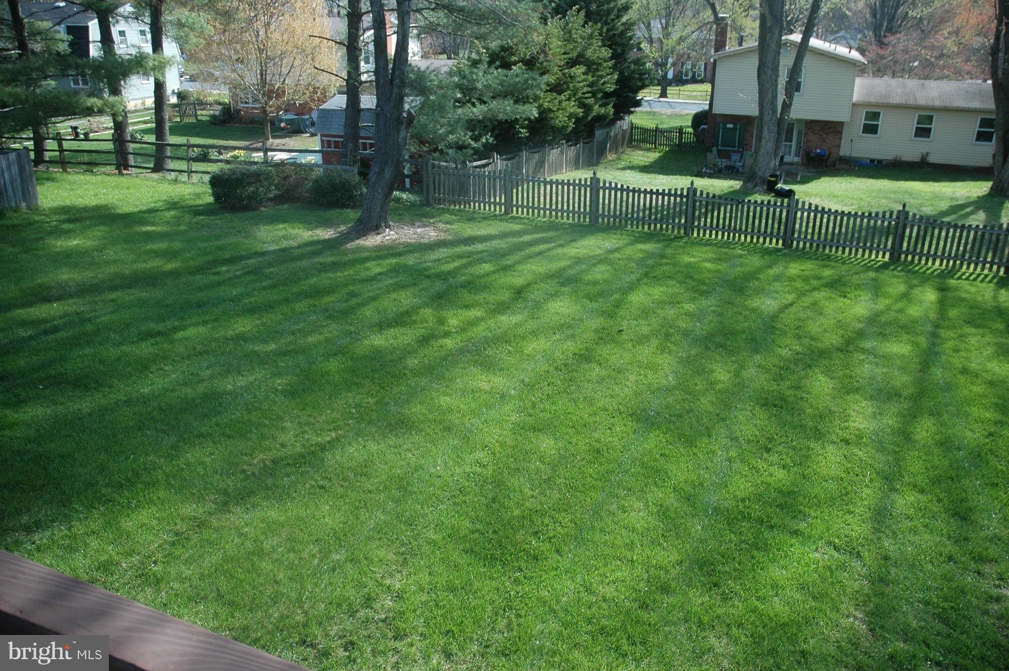 14717 Flintstone Lane Silver Spring, MD 20905 - Photo 9 of 26 a view of a park with large trees