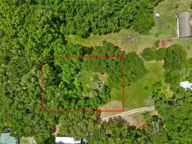 a close up of a plant in a garden