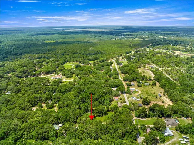 a view of a field with an ocean
