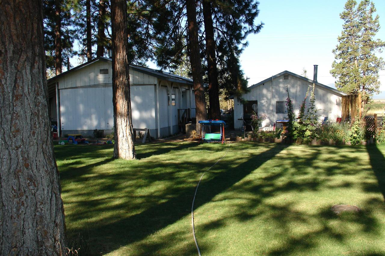 44693 Dee Knoch Road Fall River Mills, CA 96028 - Photo 1 of 6 a backyard of a house with plants and tree