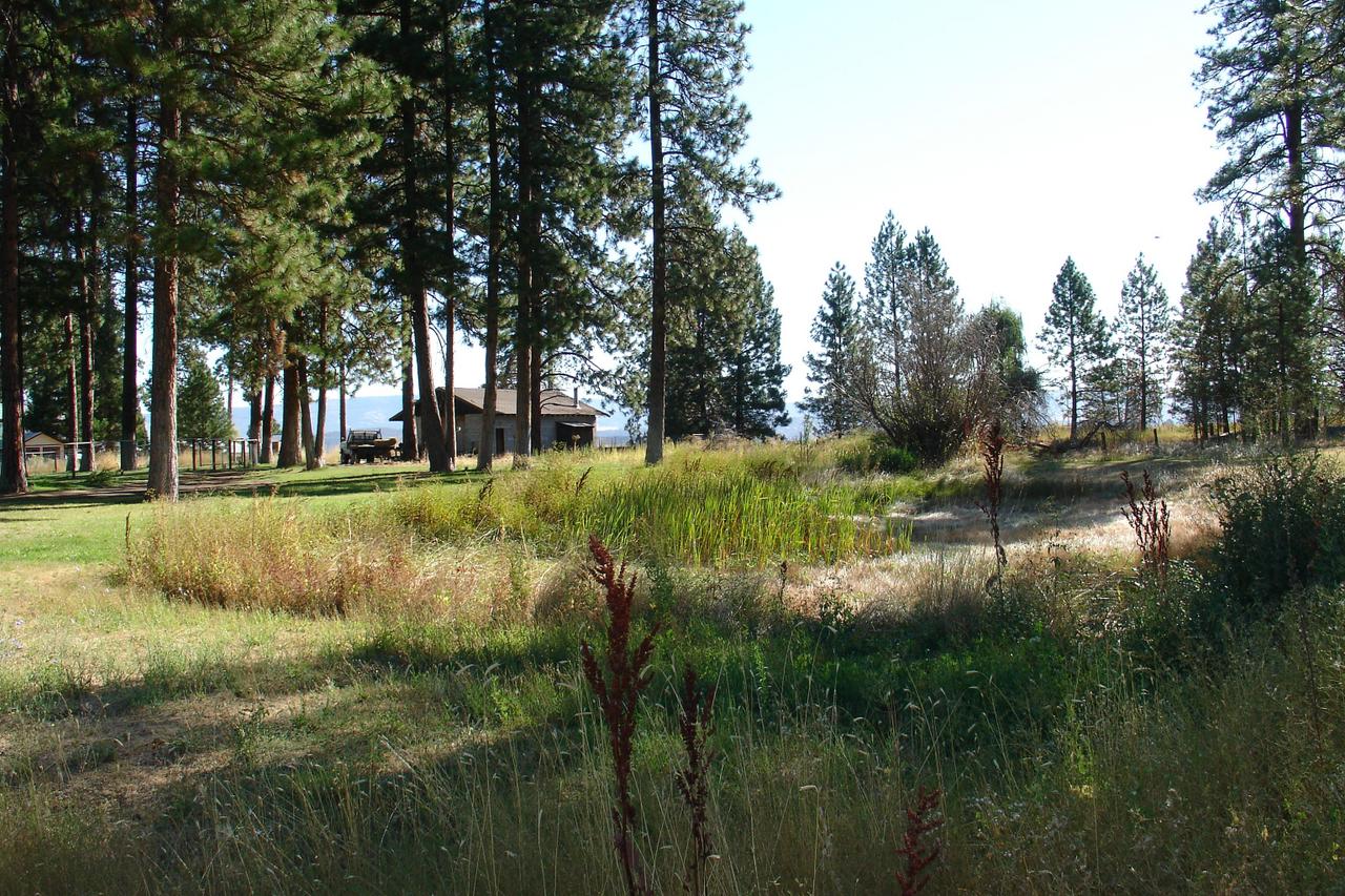 44693 Dee Knoch Road Fall River Mills, CA 96028 - Photo 2 of 6 a view of a lake view