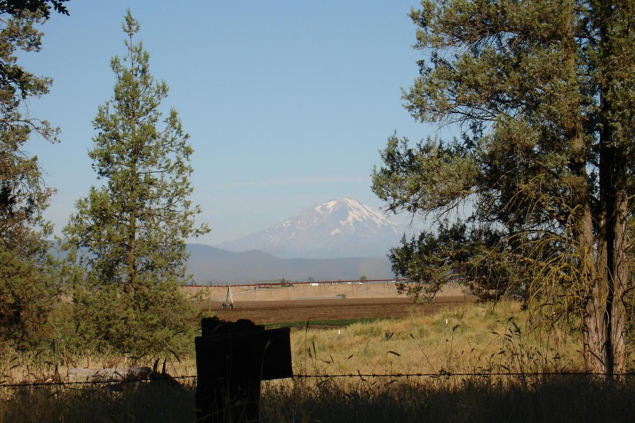 44693 Dee Knoch Road Fall River Mills, CA 96028 - Photo 3 of 6 a view of a lake with a mountain