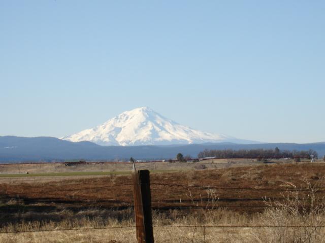 44693 Dee Knoch Road Fall River Mills, CA 96028 - Photo 6 of 6