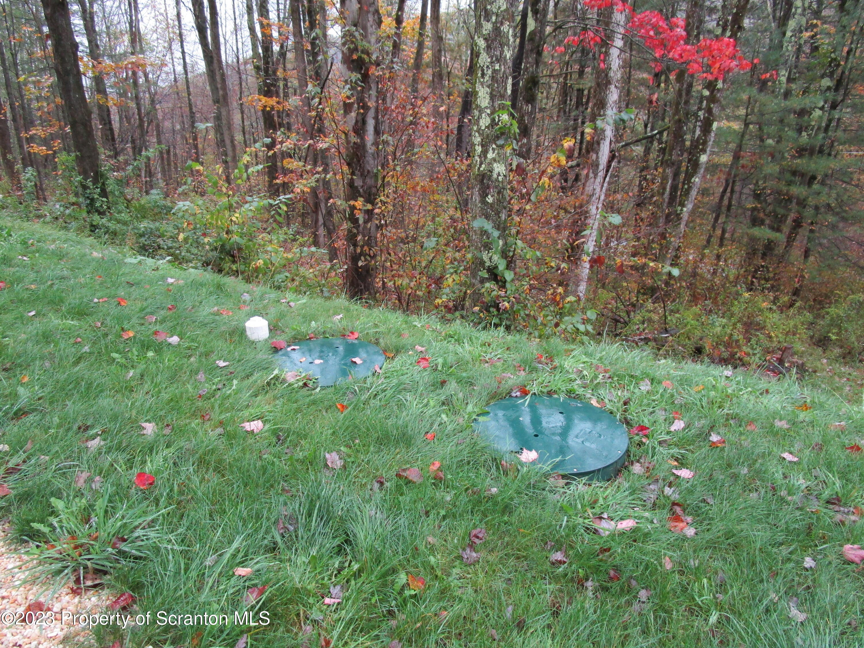 853 Silver Creek Road Montrose, PA 18801 - Photo 4 of 20 a backyard of a house with lots of green space and trees