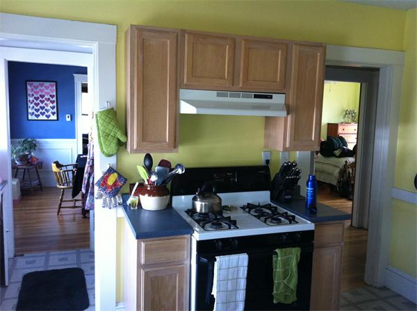 3 Leslie Road Belmont, MA 02478 - Photo 9 of 18 Gallery Image 9