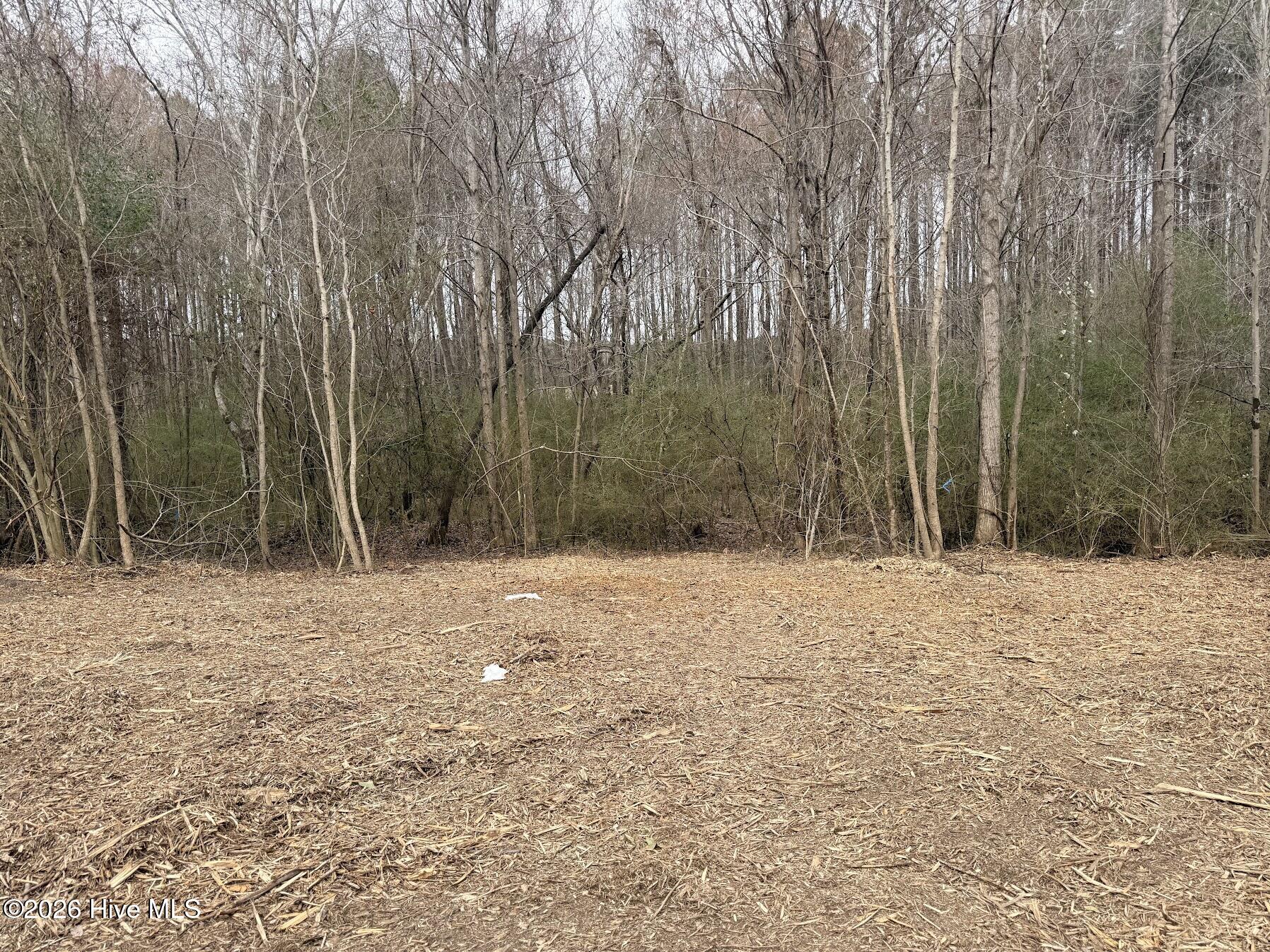 227 Langley Road Chocowinity, NC 27817 - Photo 11 of 16 Photo 6 02.25.2026