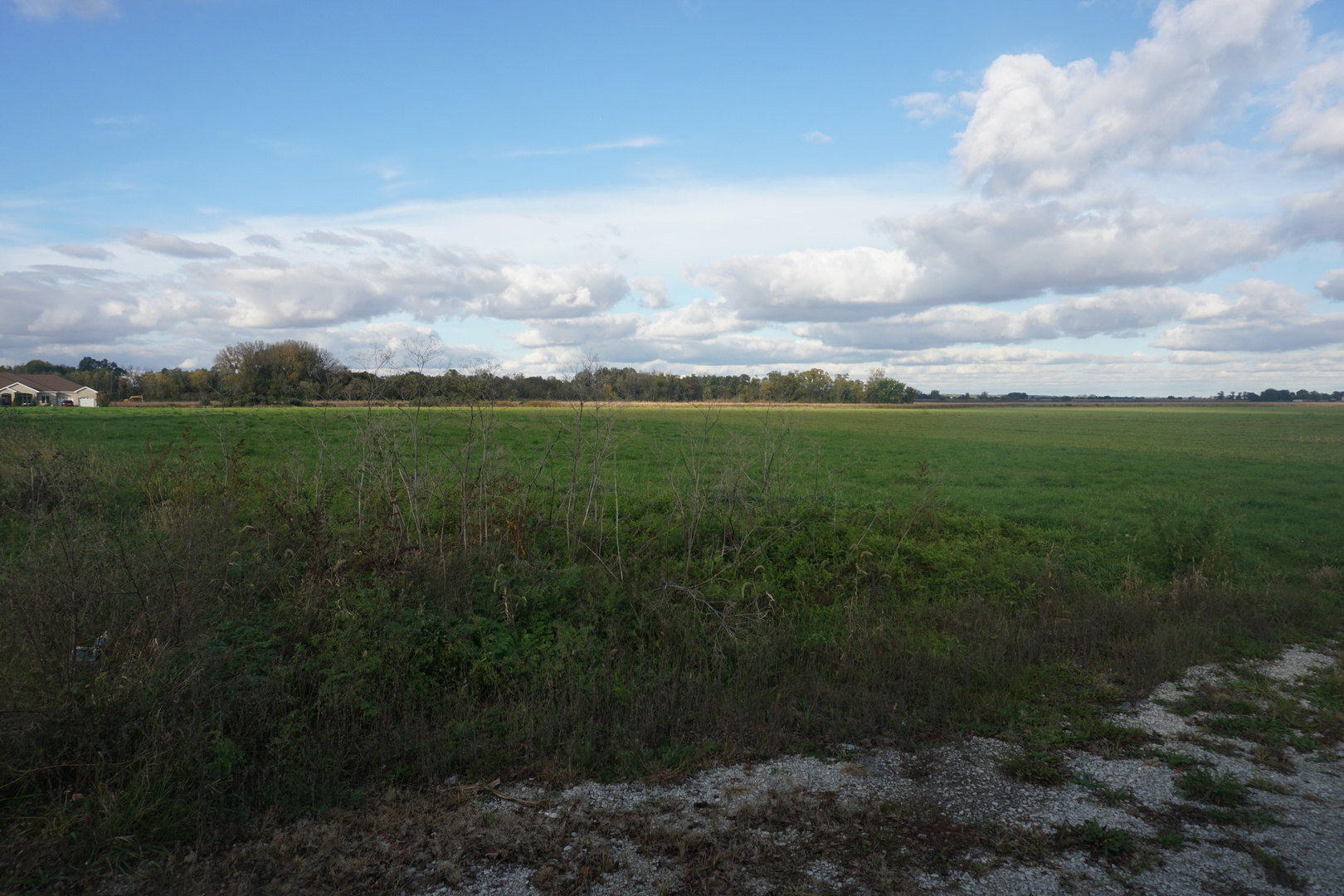 Section 18 Momence Street Momence, IL 60954 - Photo 3 of 6 a view of an outdoor space and a yard