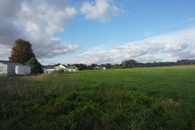 a view of a green field with lots of bushes