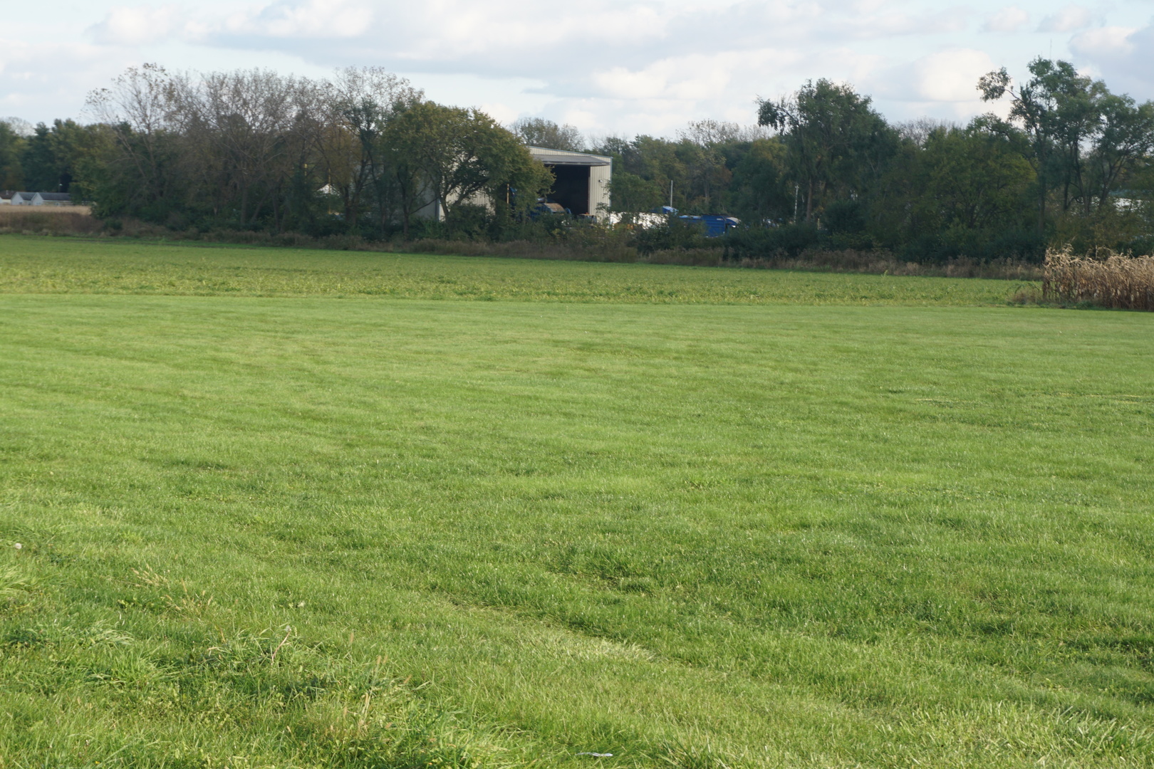 Section 18 Momence Street Momence, IL 60954 - Photo 6 of 6