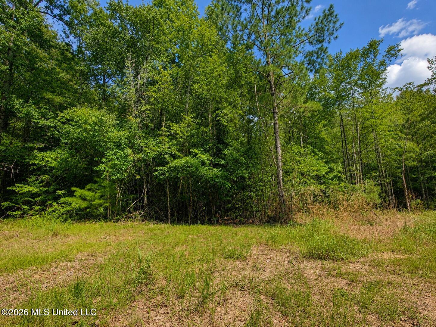 4.39-acres Man Moulds Road Lucedale, MS 39452 - Photo 5 of 15 land (5)