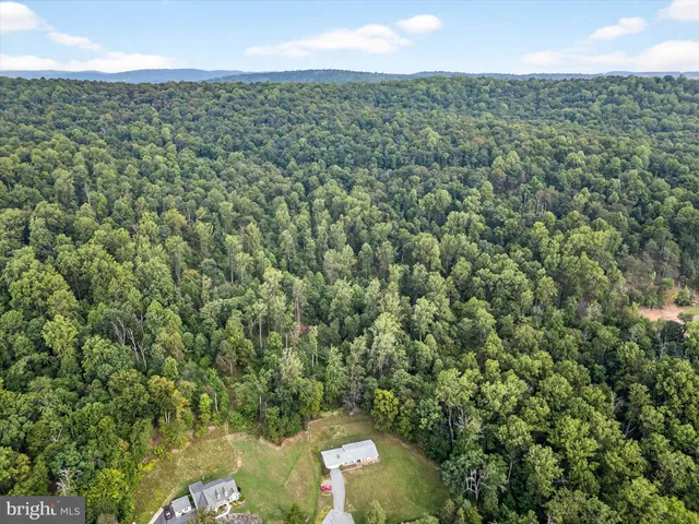 a view of a lake with a city