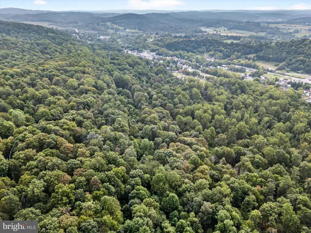 an aerial view of houses with trees
