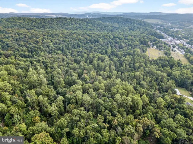 a view of a yard with an outdoor seating
