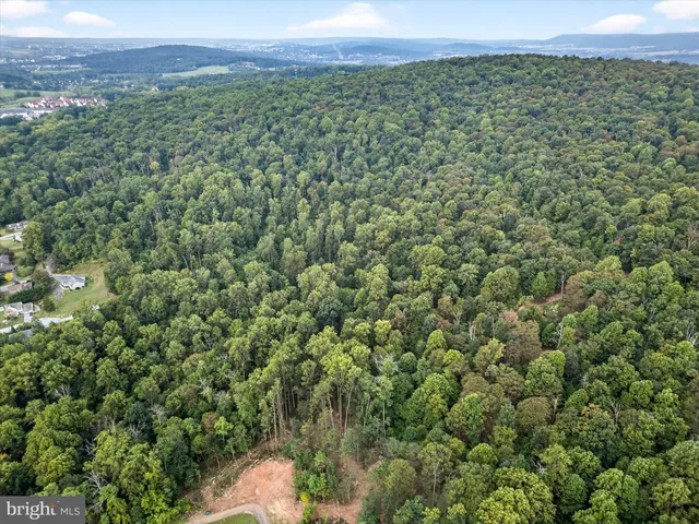 a view of a green field with lots of bushes