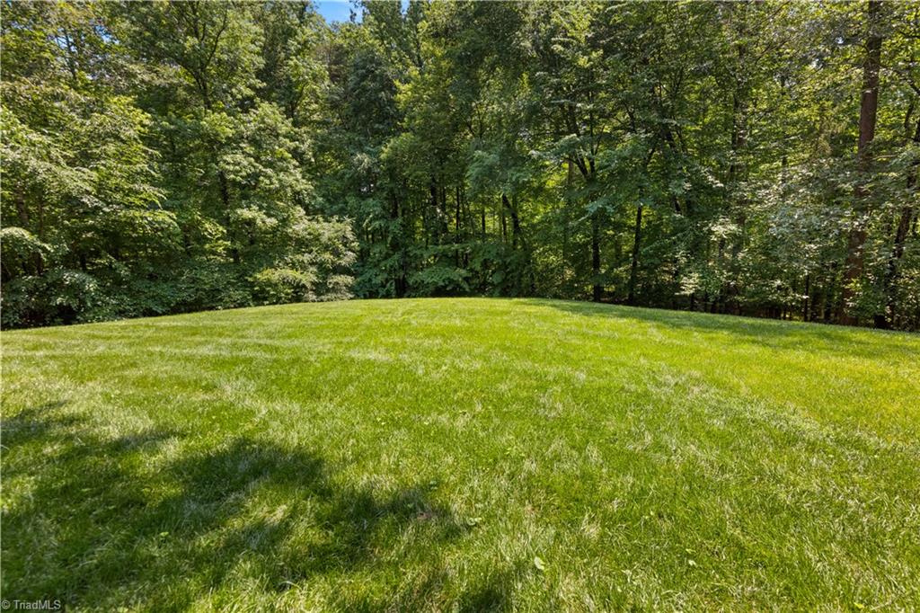 9001 Hounds Ridge Road Lewisville, NC 27023 - Photo 48 of 50 Gallery Image 48