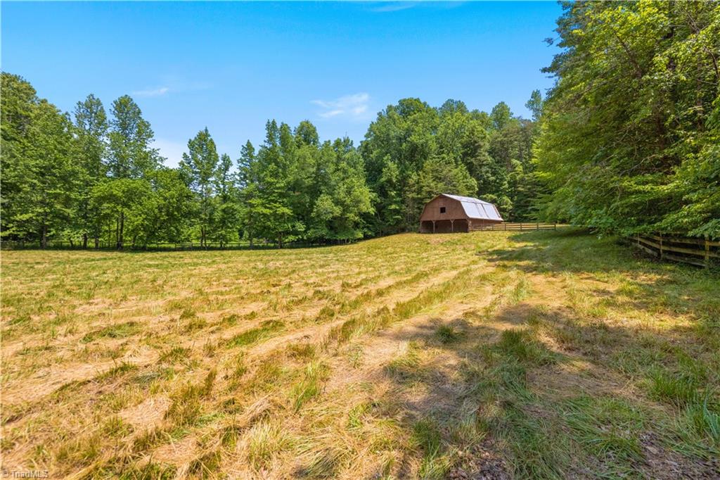 9001 Hounds Ridge Road Lewisville, NC 27023 - Photo 49 of 50 Pasture