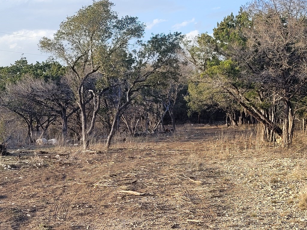 308 Elm Pass Road East Center Point, TX 78010 - Photo 11 of 16