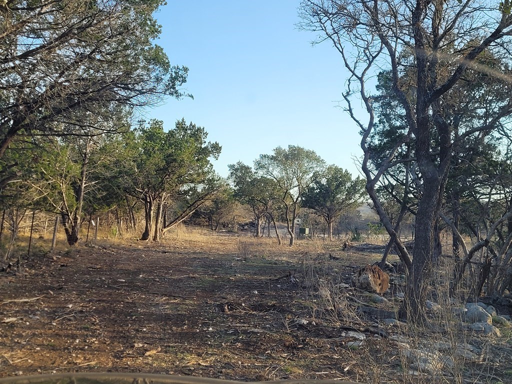 308 Elm Pass Road East Center Point, TX 78010 - Photo 12 of 16