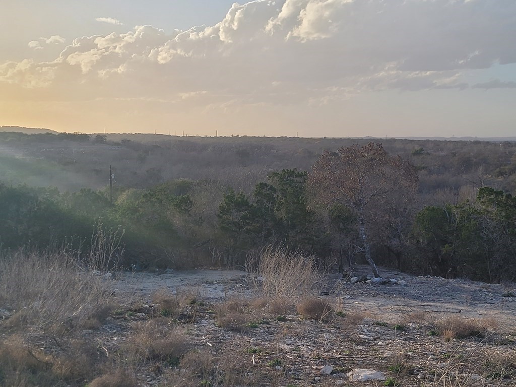 308 Elm Pass Road East Center Point, TX 78010 - Photo 13 of 16