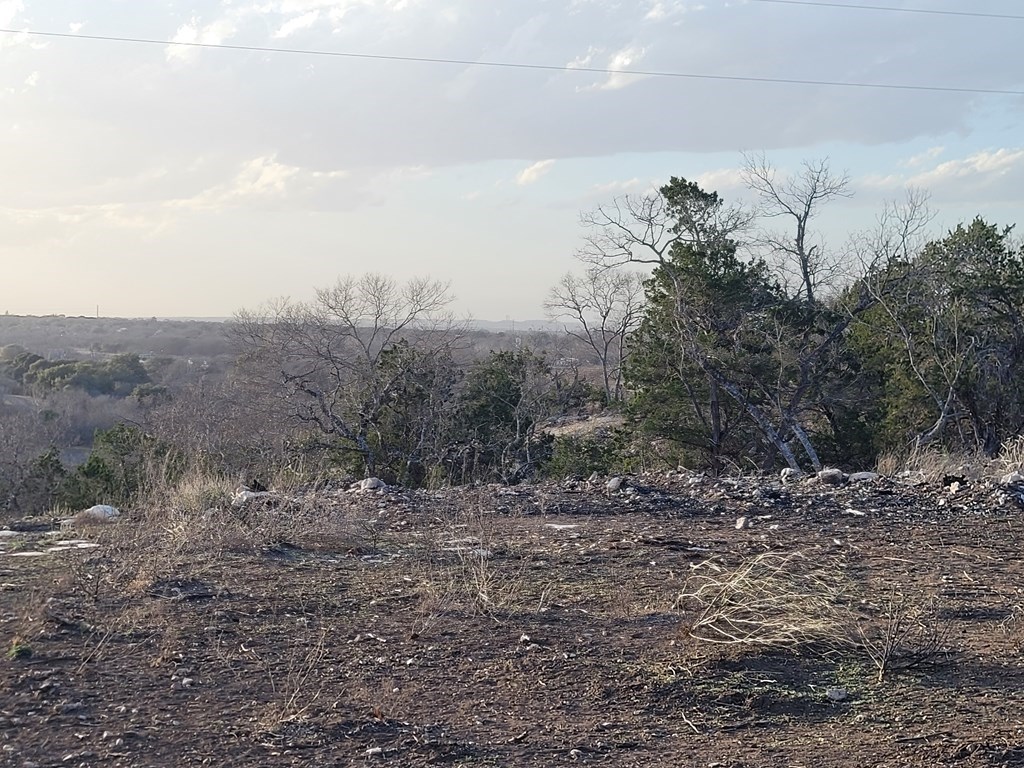 308 Elm Pass Road East Center Point, TX 78010 - Photo 14 of 16