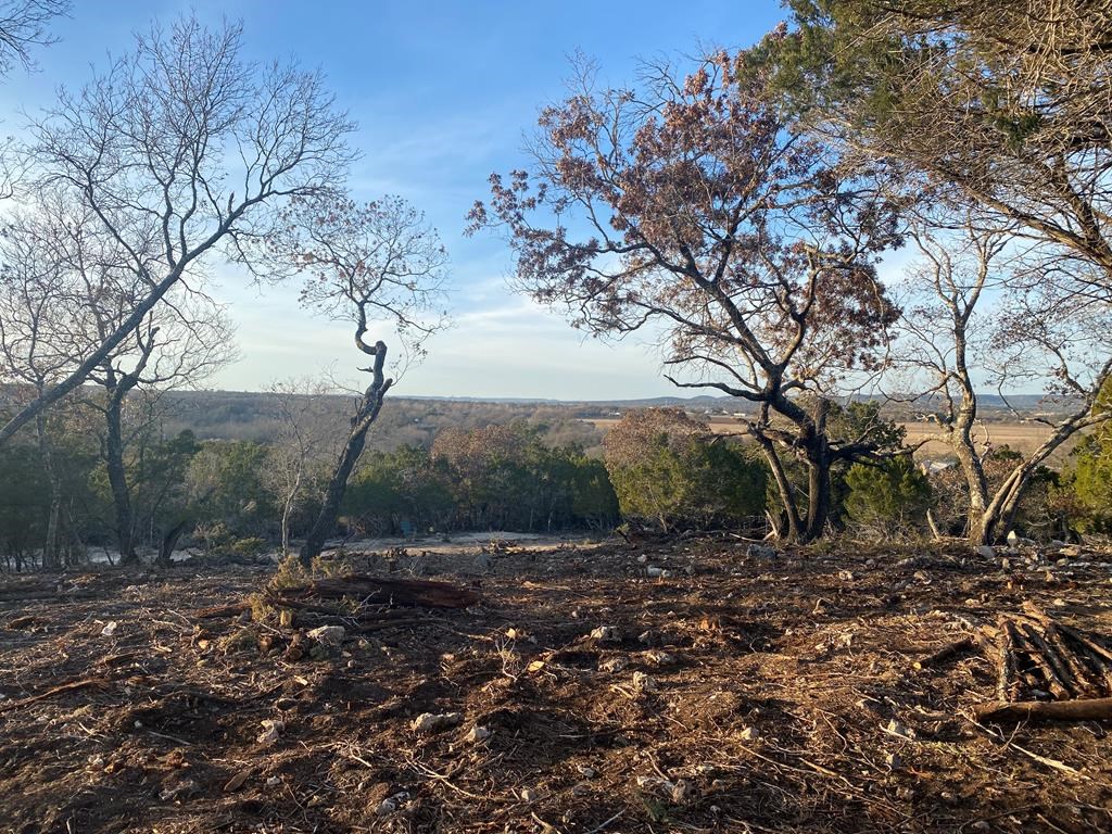 308 Elm Pass Road East Center Point, TX 78010 - Photo 3 of 16