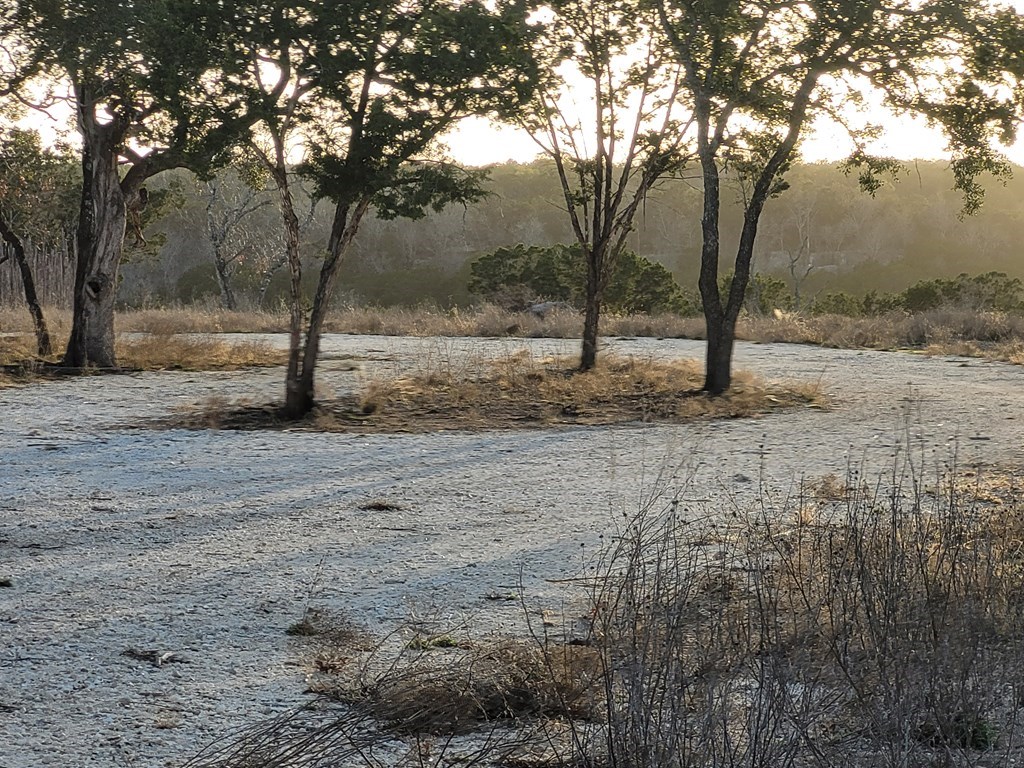 308 Elm Pass Road East Center Point, TX 78010 - Photo 5 of 16