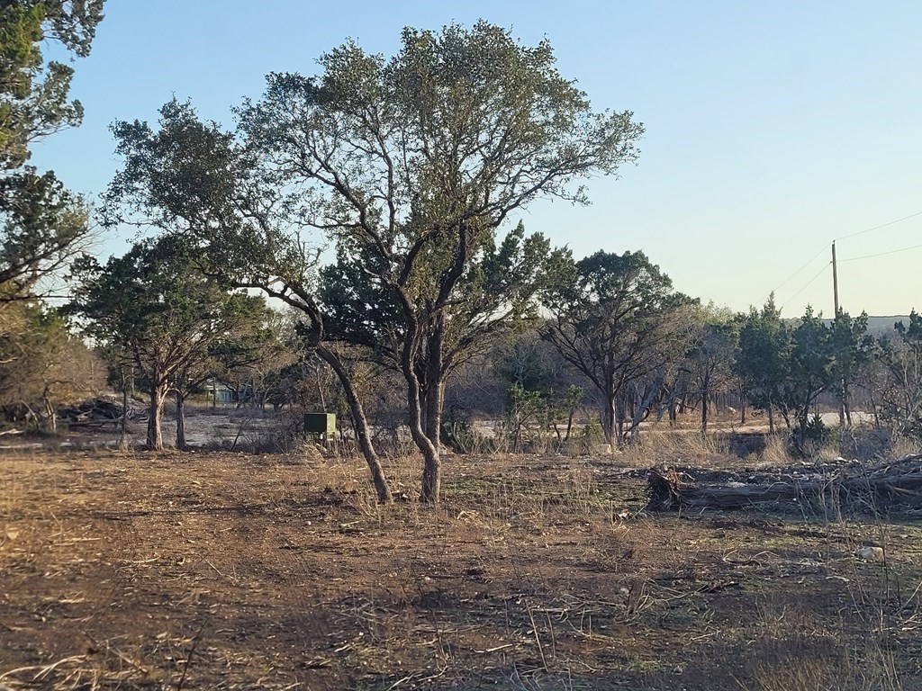 308 Elm Pass Road East Center Point, TX 78010 - Photo 8 of 16