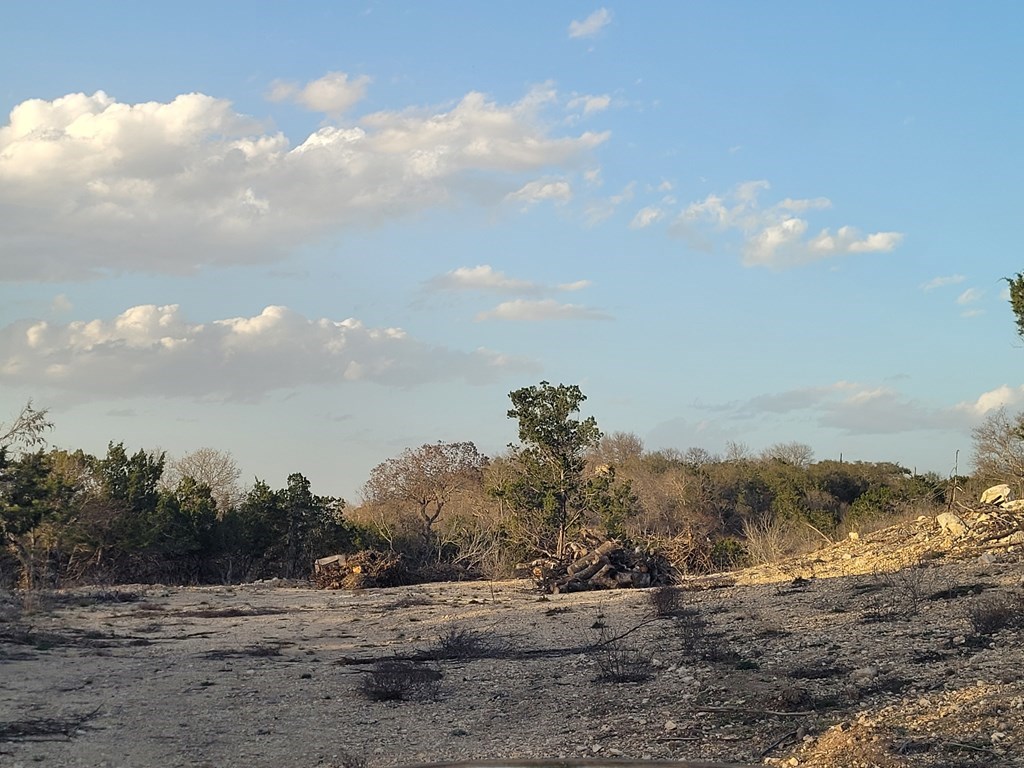 308 Elm Pass Road East Center Point, TX 78010 - Photo 9 of 16