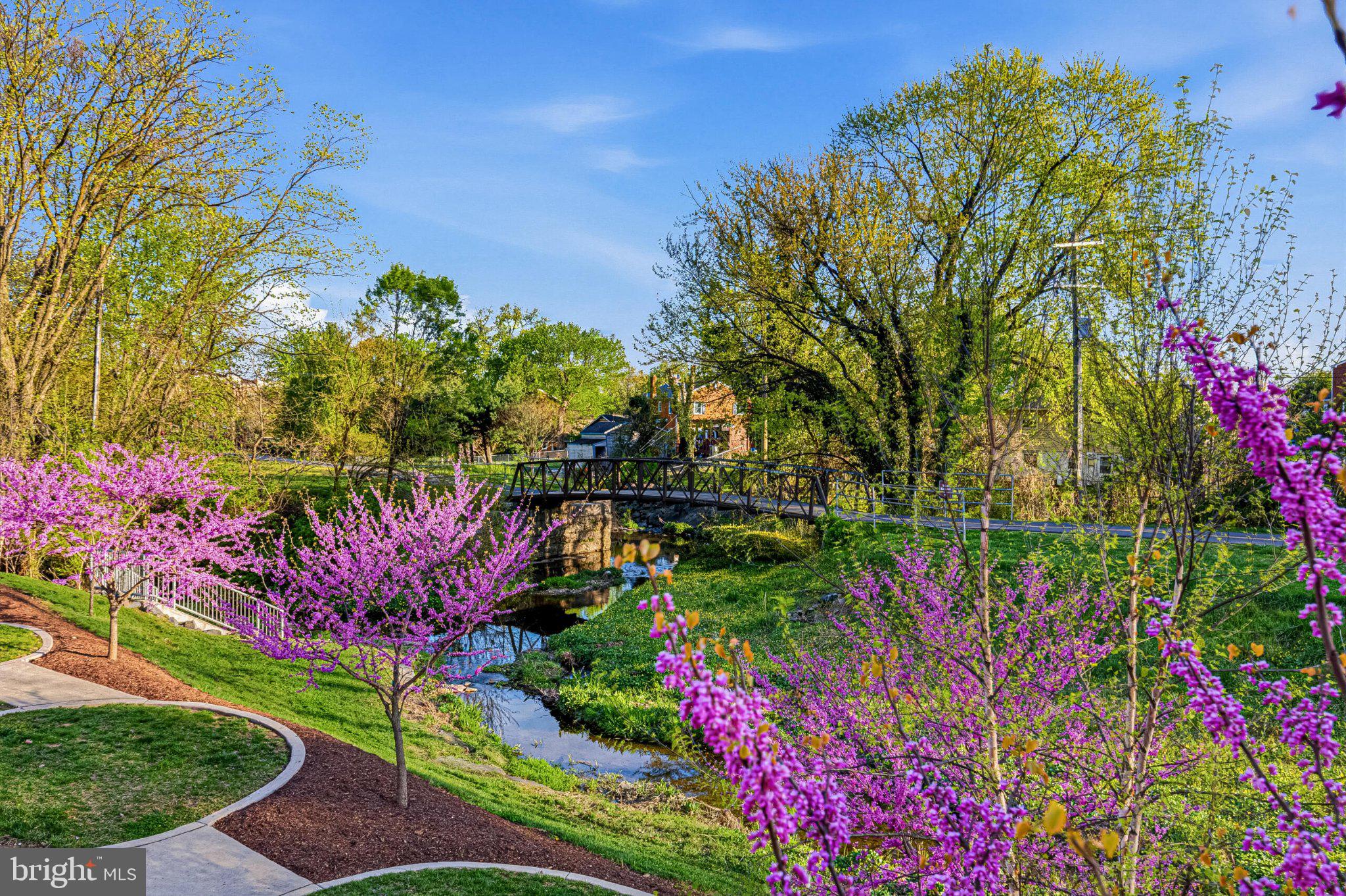 5 Stationmaster Street Southeast, Unit 203 Leesburg, VA 20175 - Photo 3 of 4 Spring blooms by a tranquil stream.