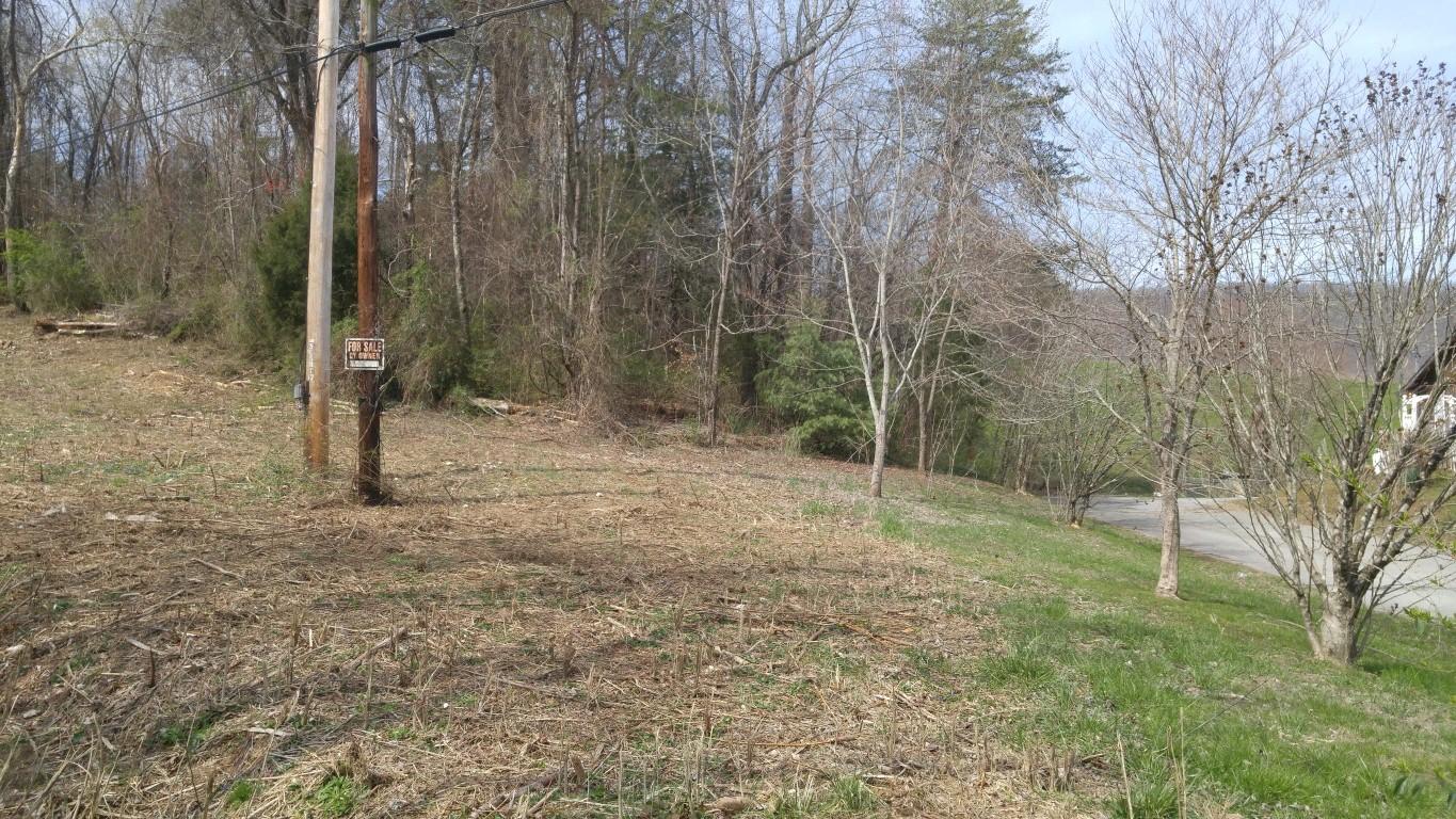 30-ej06.08 Clinton Avenue Spring City, TN 37381 - Photo 1 of 9 0320171231a (Medium)