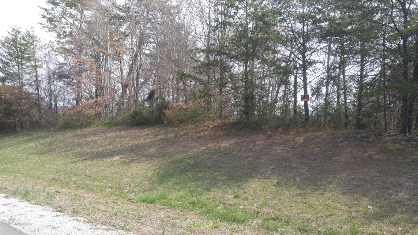 30-ej06.08 Clinton Avenue Spring City, TN 37381 - Photo 2 of 9 0320171227 (Medium)
