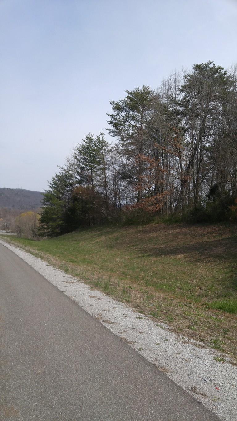 30-ej06.08 Clinton Avenue Spring City, TN 37381 - Photo 3 of 9 0320171228a (Medium)