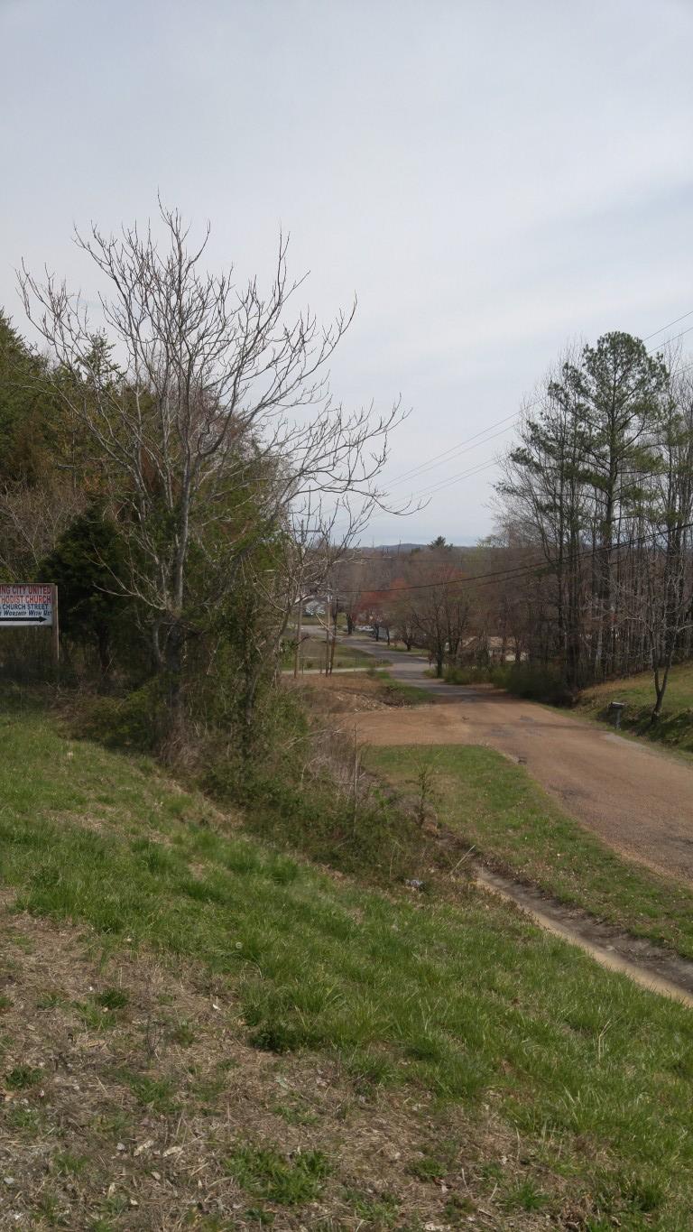 30-ej06.08 Clinton Avenue Spring City, TN 37381 - Photo 5 of 9 0320171229a (Medium)