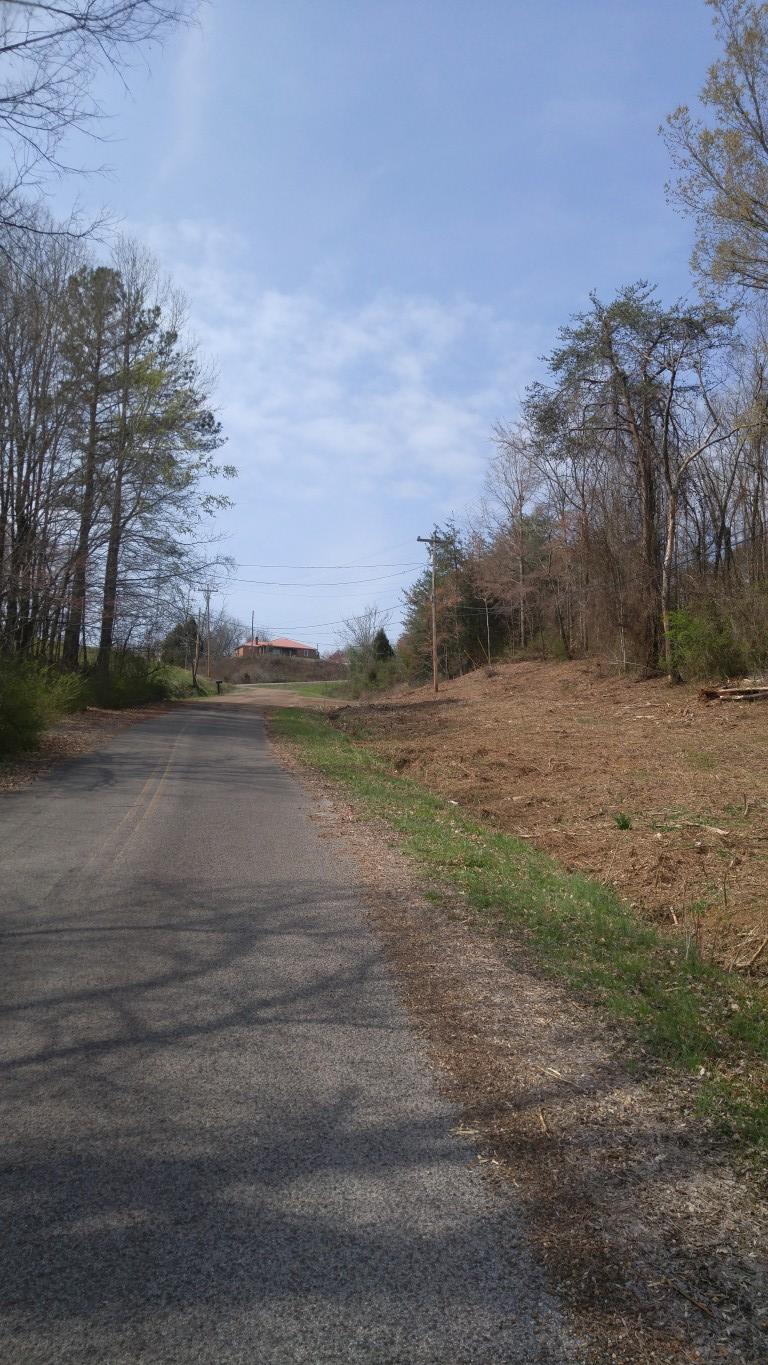 30-ej06.08 Clinton Avenue Spring City, TN 37381 - Photo 7 of 9 0320171230a (Medium)