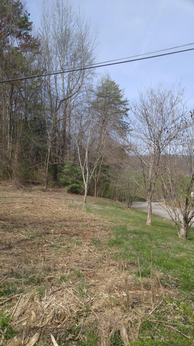 30-ej06.08 Clinton Avenue Spring City, TN 37381 - Photo 8 of 9 0320171231 (Medium)